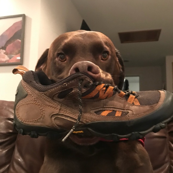 Meet your Posher, Jedda - Picture 2 of 8